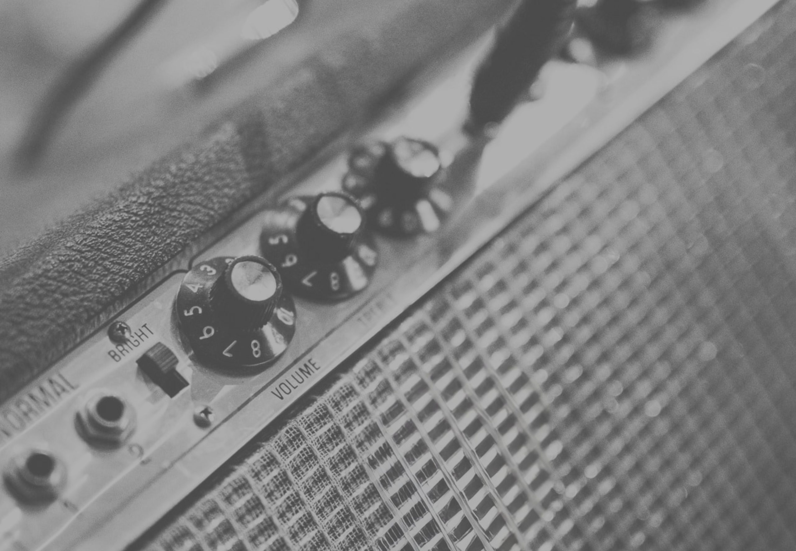 Blue Reef Records | Indie. Amplified.®